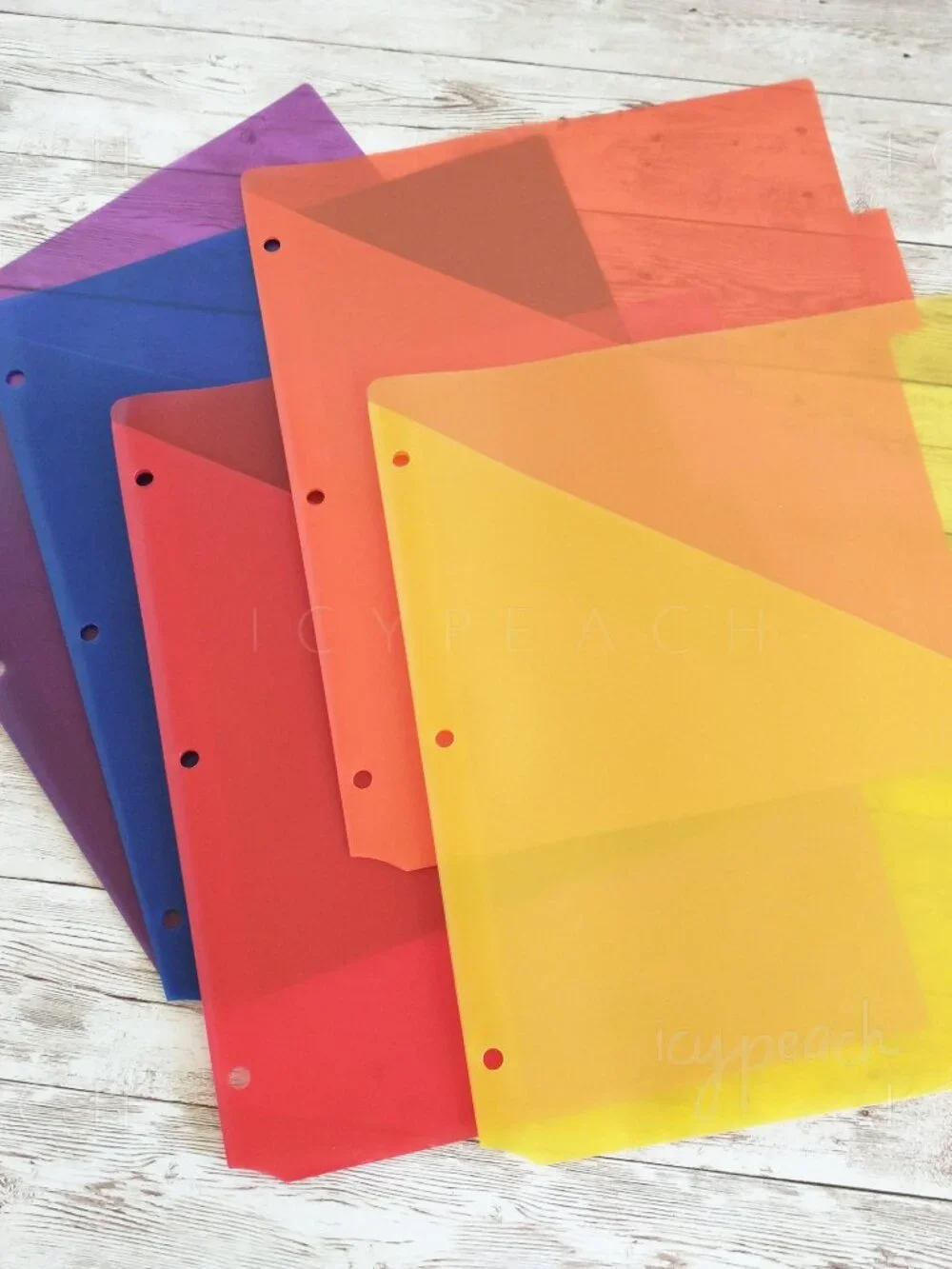 Slash File Jackets Set of 5 Translucent for 3-Ring Binders Letter Hole Punched